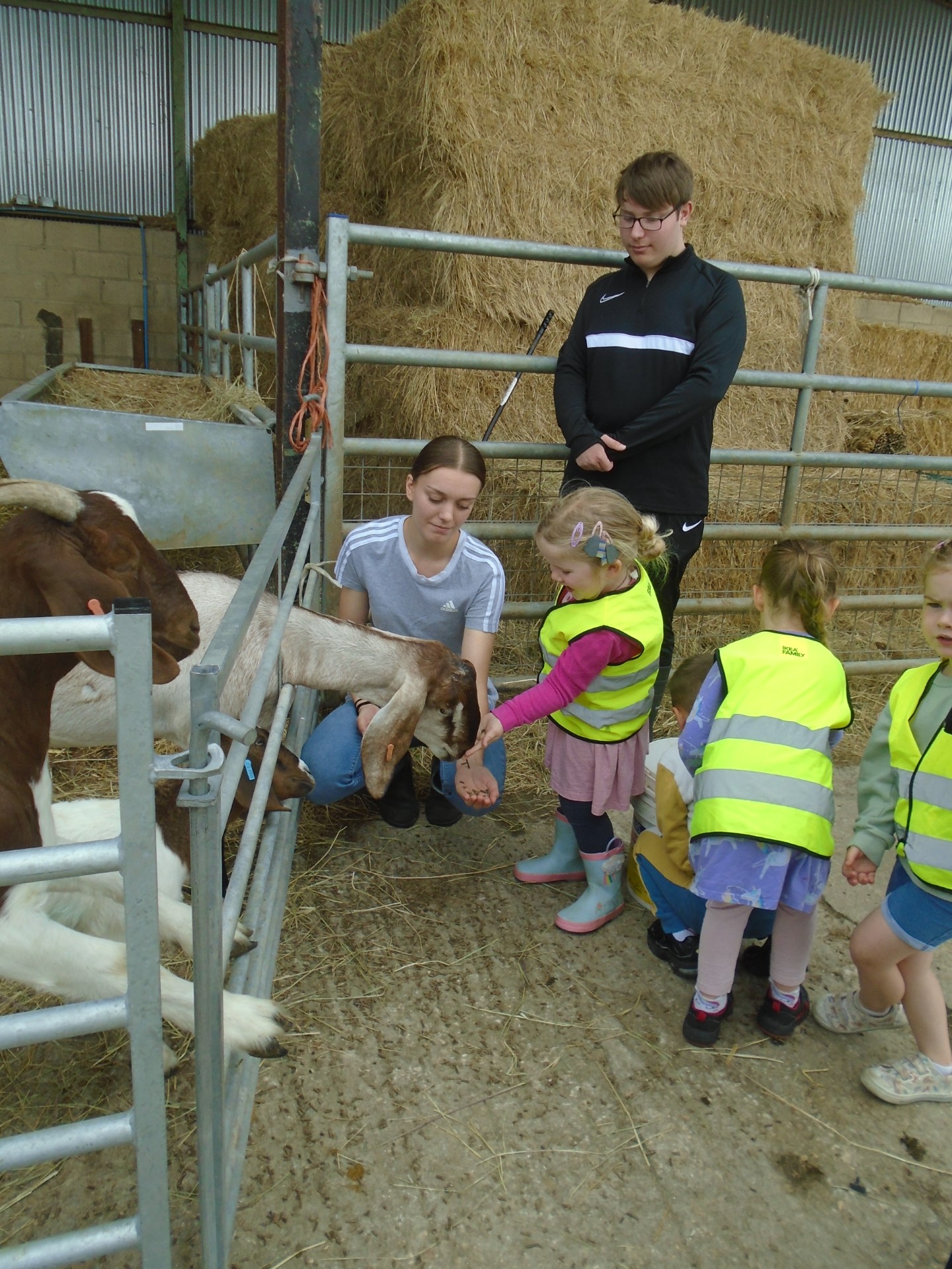 Pre-School Visit The Farm